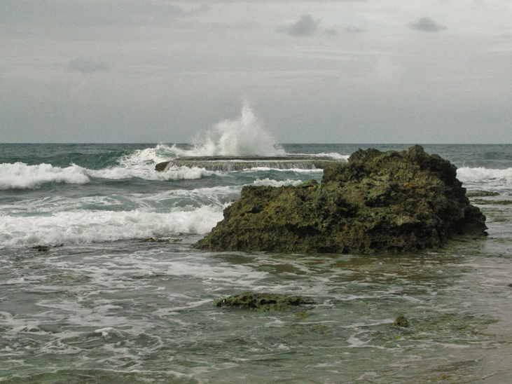 manzanillo