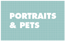 portraits and pets